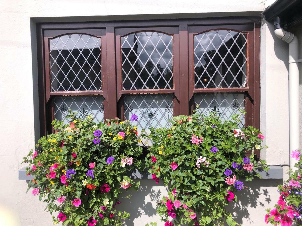Chester Beatty Inn Ashford Dış mekan fotoğraf